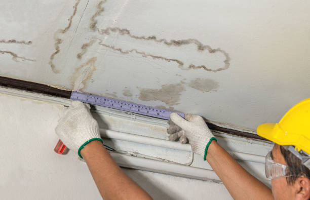 Reliable Mold Remediation contractor in Wendell Depot, MA by Water Damage Irwin